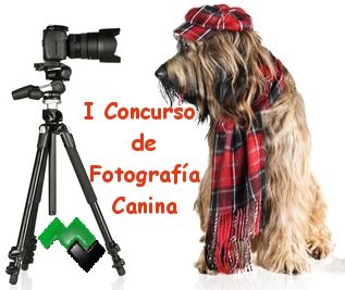 concurso_f_canina